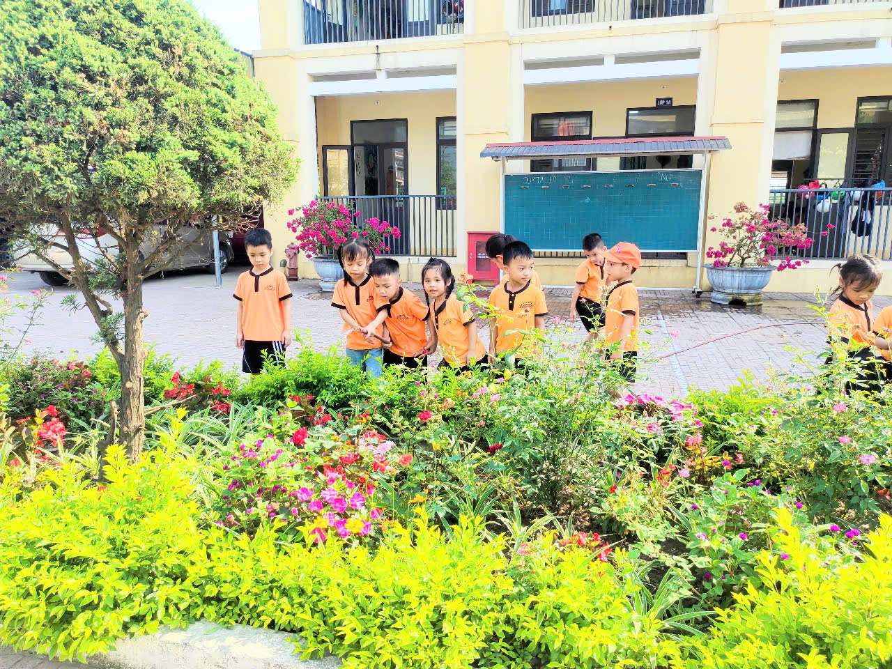 Vườn hoa 2